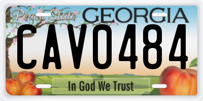 GA license plate CAV0484