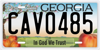GA license plate CAV0485