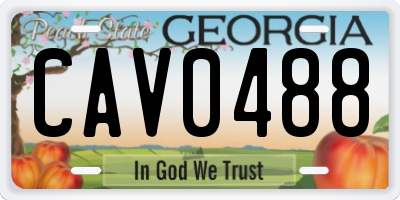 GA license plate CAV0488