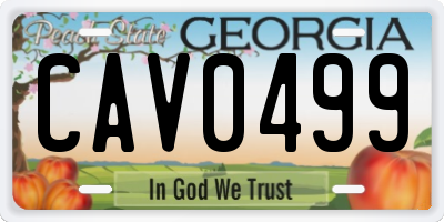 GA license plate CAV0499