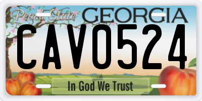 GA license plate CAV0524