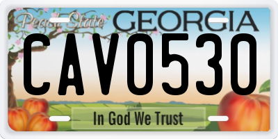 GA license plate CAV0530