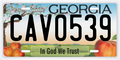 GA license plate CAV0539