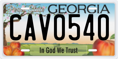 GA license plate CAV0540