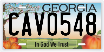 GA license plate CAV0548