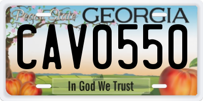 GA license plate CAV0550