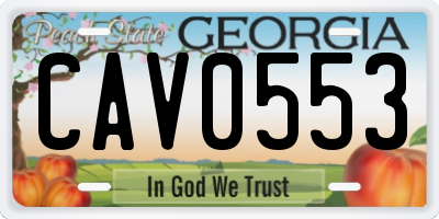 GA license plate CAV0553