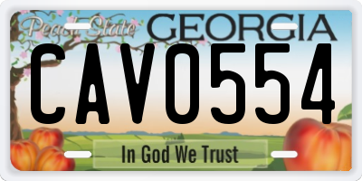 GA license plate CAV0554