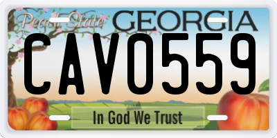 GA license plate CAV0559