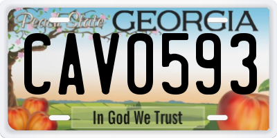 GA license plate CAV0593