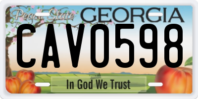 GA license plate CAV0598