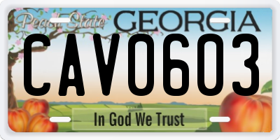 GA license plate CAV0603