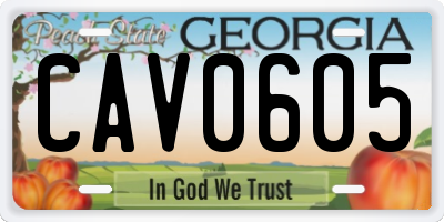 GA license plate CAV0605