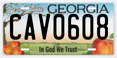 GA license plate CAV0608