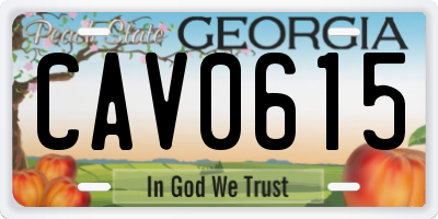 GA license plate CAV0615