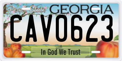 GA license plate CAV0623