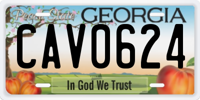 GA license plate CAV0624
