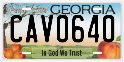 GA license plate CAV0640