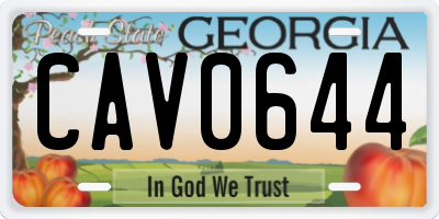 GA license plate CAV0644