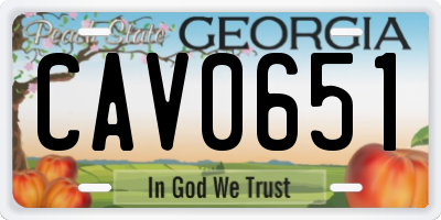GA license plate CAV0651