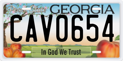 GA license plate CAV0654