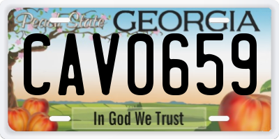 GA license plate CAV0659