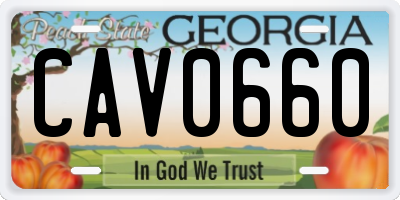 GA license plate CAV0660
