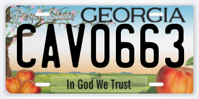 GA license plate CAV0663