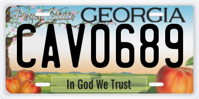 GA license plate CAV0689