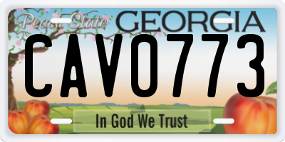 GA license plate CAV0773