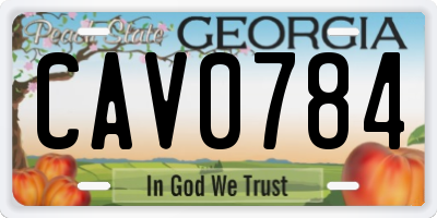 GA license plate CAV0784