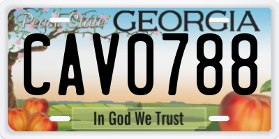 GA license plate CAV0788