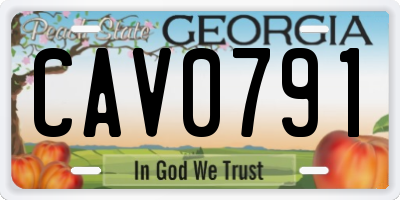 GA license plate CAV0791