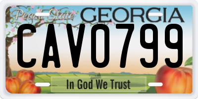 GA license plate CAV0799