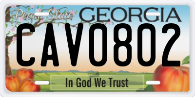 GA license plate CAV0802