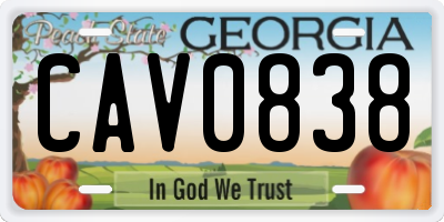 GA license plate CAV0838