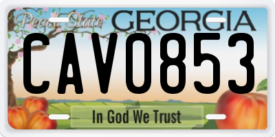 GA license plate CAV0853