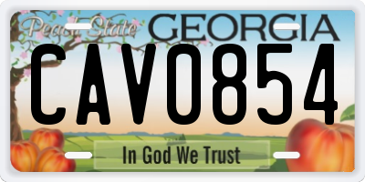 GA license plate CAV0854