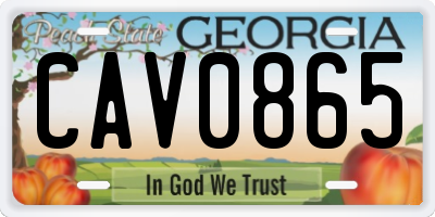 GA license plate CAV0865