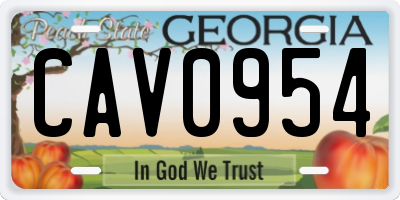 GA license plate CAV0954