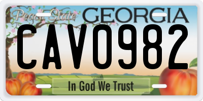 GA license plate CAV0982