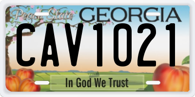 GA license plate CAV1021