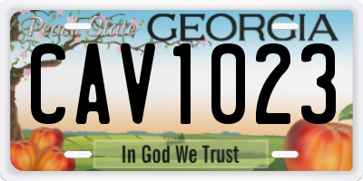 GA license plate CAV1023