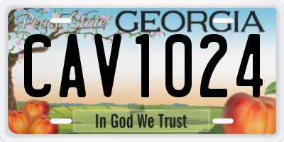 GA license plate CAV1024