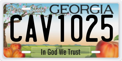 GA license plate CAV1025