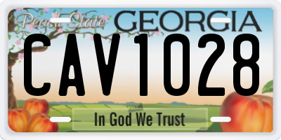 GA license plate CAV1028