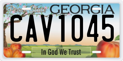 GA license plate CAV1045