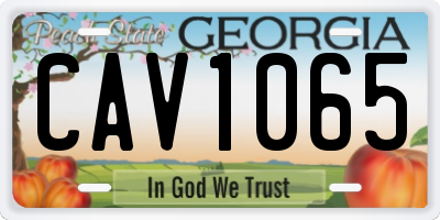 GA license plate CAV1065
