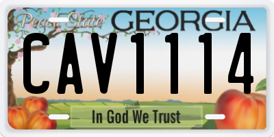 GA license plate CAV1114