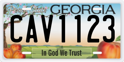 GA license plate CAV1123